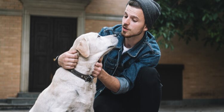 Plav i Berane propisima ograničili broj ljubimaca po domaćinstvu