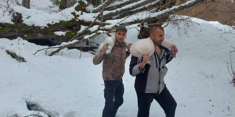 PLJEVLJA: PAO NOVI SNIJEG PA LOVOČUVARI KRENULI U AKCIJU PRIHRANE DIVLJAČI