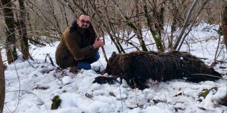 Berane: Osumnjičeni za ubistvo mečke izašli iz pritvora