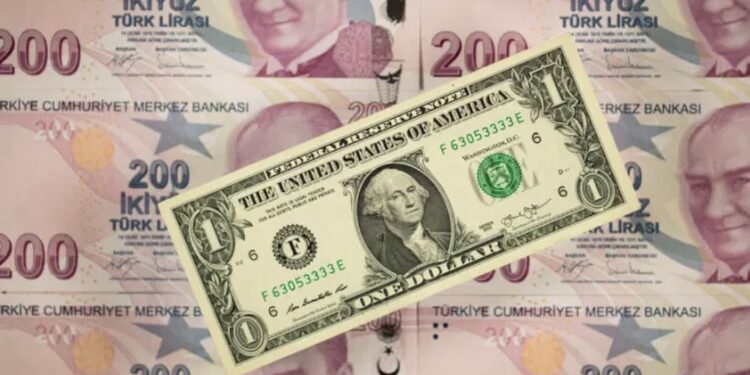 Turska lira snažno pala prema dolaru