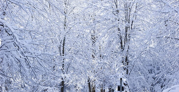 Prestanak padavina tokom noći, od 15. marta ponovo pad temperature