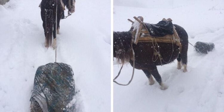 Bijelo Polje: Čišćenje snijega kao u stara dobra vremena