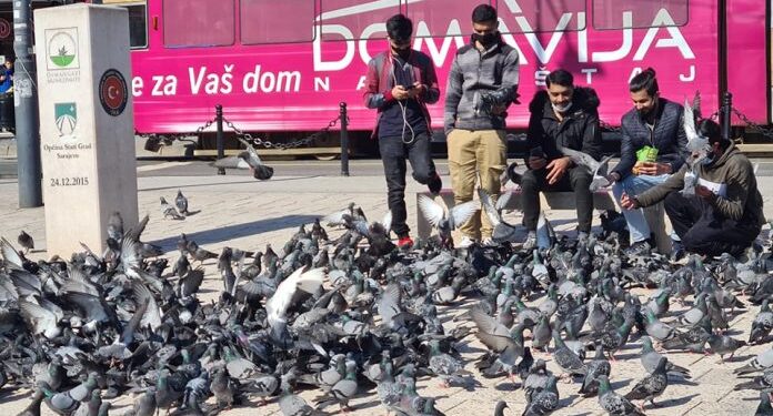 NA BAŠČARŠIJI MIGRANTI KORU HLJEBA DIJELE SA GOLUBOVIMA: ‘POD TUĐIM NEBOM’ ISTA IH SUDBINA SPAJA