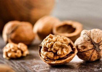 STRUČNJACI: ZAŠTO SU ORASI JEDNA OD NAJZDRAVIJIH NAMIRNICA I TREBA IH JESTI SVAKI DAN