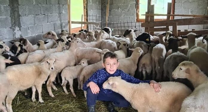 ‘MERHAMET’ TUZLA I BH TELECOM POMOGLI MLADOM FARMERU S PODRUČJA BRATUNCA
