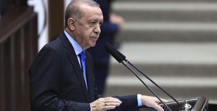 Erdogan: Let bespilotnog borbenog aviona Turske planiramo za 2023. godinu