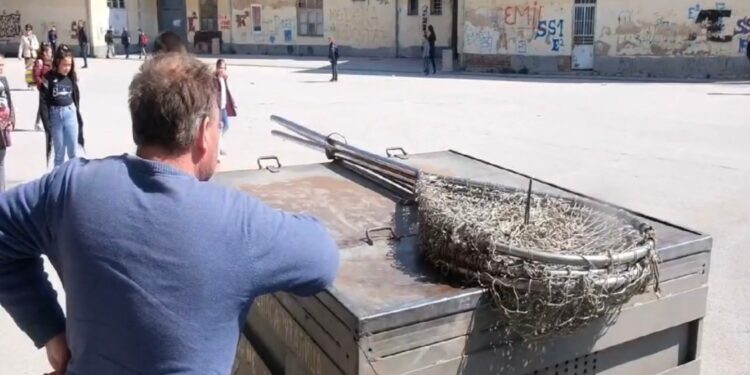 Za tri dana u Tutinu sprovedene dvije akcije uklanjanja pasa lutalica