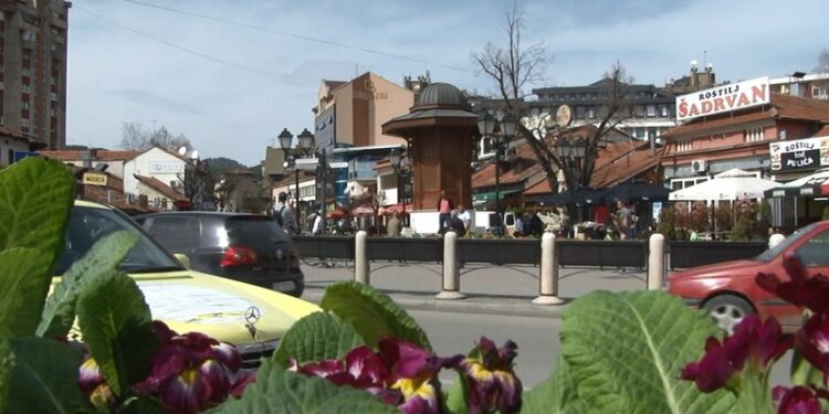 Novopazarsko Komunalno preduzeće upozorilo da će objaviti “slike lopova” koji kradu cvijeće