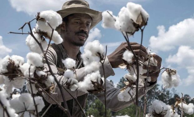 Užas u Dalmaciji: Muškarac (58) zarobio Nepalce na Visu i mjesecima ih držao kao robove! Uzeo im dokumenta i prisiljavao na rad u teškim uslovima