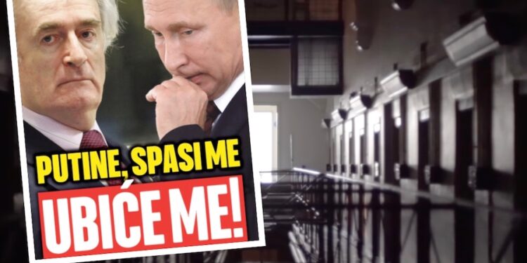 VLADIMIRE, BRATE: Karadžić iz zatvora poslao pismo Putinu moli ga da interveniše