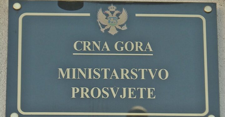 Crnogorska ministarka otpustila konsultanta zbog veličanja zločinca Ratka Mladića