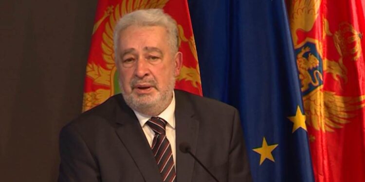 Krivokapić: Rezolucija o Srebrenici bila nepotrebna