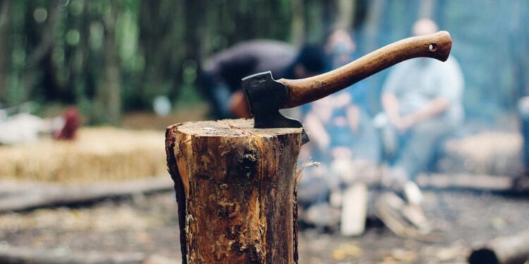 Sin osumnjičen da je ubio majku na spavanju: Ćerka pronašla telo ubijene sekirom u Bačkoj Palanci