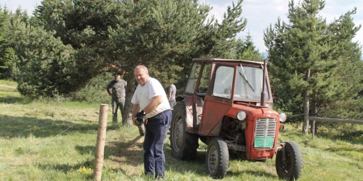 NOVA VAROŠ: TEPIH PLANINE ČEKAJU TAKMIČARE DEVETIH “ČOBANSKIH IGARA”