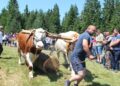 NOVA VAROŠ: RABADŽIJE ČUVAJU ČAST SELA
