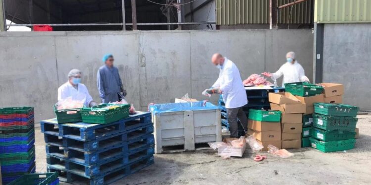 Konjsko meso u dućanima prodavali kao lažnu skupu teletinu