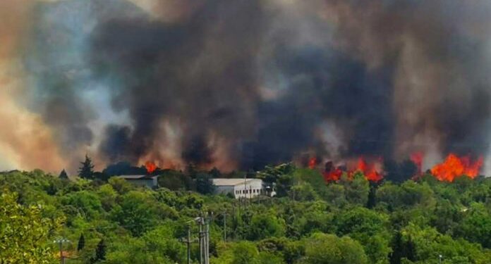 GORI BOROVA ŠUMA U BH. GRADU: DODIK ODBIO DATI SAGLASNOST ZA HELIKOPTER