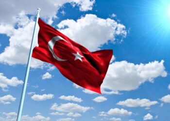 U turskom vlasništvu 28,8% stranih kompanija