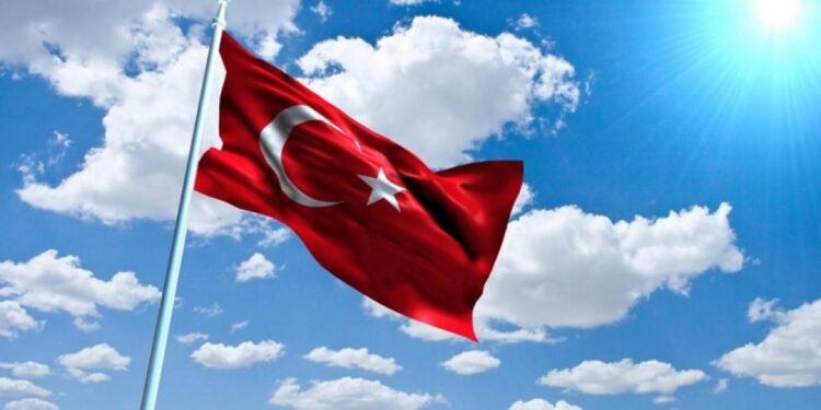 U turskom vlasništvu 28,8% stranih kompanija