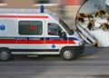 BILO JE KAO U HORORU: PREVRNUO SE DŽIP, PČELE IZUJEDALE VOZAČA, LJEKARE I POLICAJCE