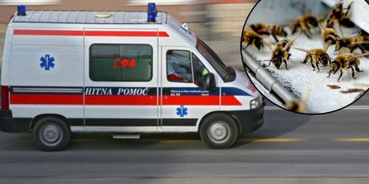 BILO JE KAO U HORORU: PREVRNUO SE DŽIP, PČELE IZUJEDALE VOZAČA, LJEKARE I POLICAJCE