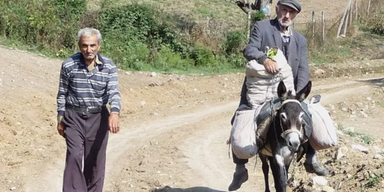 DOĆI ĆE VRIJEME DA BRAT BJEŽI OD BRATA I DJECA OD RODITELJA
