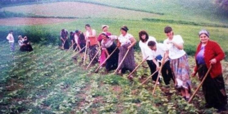 ZOROM SE RANILO, MNOGO SE RADILO ALI SE UVIJEK VESELO BILO…