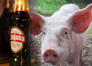 Šta je veći grijeh, konzumirati alkohol ili svinjetinu?