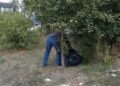 (VIDEO): Radno sposobni korisnici socijalne pomoći danas čistili Tutin ﻿