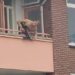(VIDEO):MUŠKARAC SA BALKONA PUCAO PO PROLAZNICIMA U HOLANDIJI, DVIJE OSOBE UBIJENE