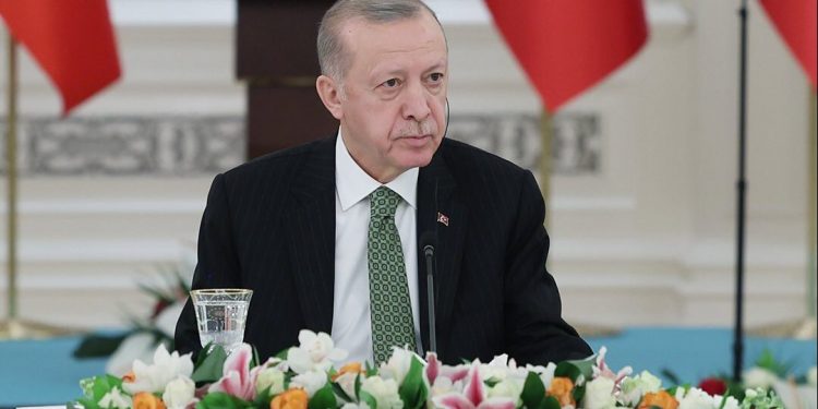 Erdogan: “Ulažemo velike napore da riješimo krizu u Bosni i Hercegovini”