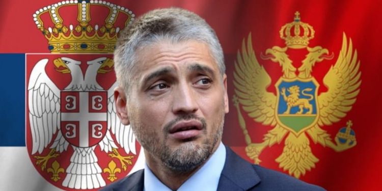 Čeda Jovanović ambasador Srbije u Crnoj Gori?