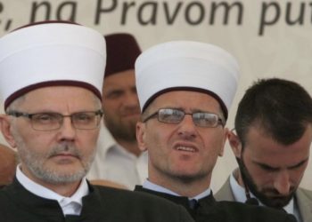 Oglasili se iz IZ BiH: Je li muslimanima dozvoljeno da im se presadi srce svinje