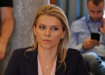 Vuksanović Stanković: Temeljni ugovor i popis ne mogu biti dio reformske agende