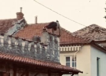 Uznemirujući video / Trebinje: Radio sklekove na zidu terase pa pao sa šest metara visine