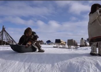 (VIDEO) Opstanak na dalekom sjeveru, izgradnja nastambe Neneta