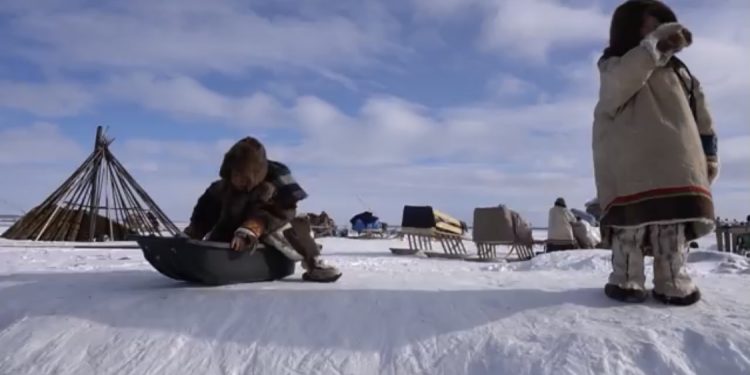 (VIDEO) Opstanak na dalekom sjeveru, izgradnja nastambe Neneta