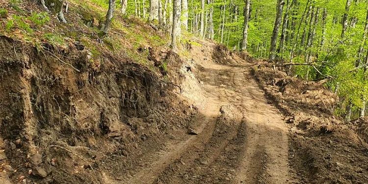 Gusinjanin planinarsku stazu pretvorio u put, inspektori stigli kad je završio: Prokrčen kilometar NP “Prokletije”