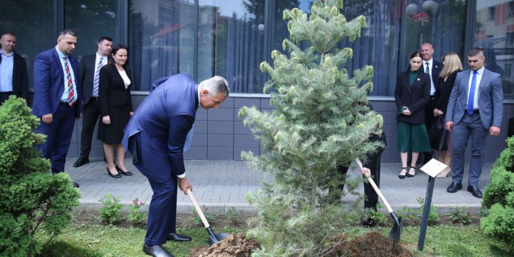 (VIDEO) Đukanović zasadio drvo prijateljstva u bašti Vladinog kompleksa