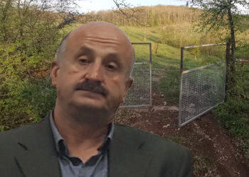 (FOTO&VIDEO) Masovna i nekontrolisana sječa šume: Ko je odgovoran za ekocid u blizini Tutina!