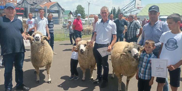 (FOTO) SJENICA: POLJOPRIVREDNICI IZ TUTINA DOBILI ZNAČAJNA PRIZNANJA NA IZLOŽBI STOKE