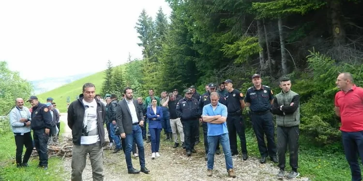 Drvoprerađivači iz Plava traže da se država obračuna sa mafijom