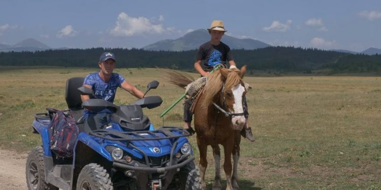 (VIDEO) BiH: OTAC I SIN ČUVAJU KRAVE ZA 2000KM. RADNIKA KOJI ĆE IM POMOĆI NE MOGU NAĆI NI ZA LIJEKA