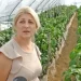 (VIDEO) Kuharica je osam sati, nakon posla, održava četiri plastenika i sve što proizvede to i proda