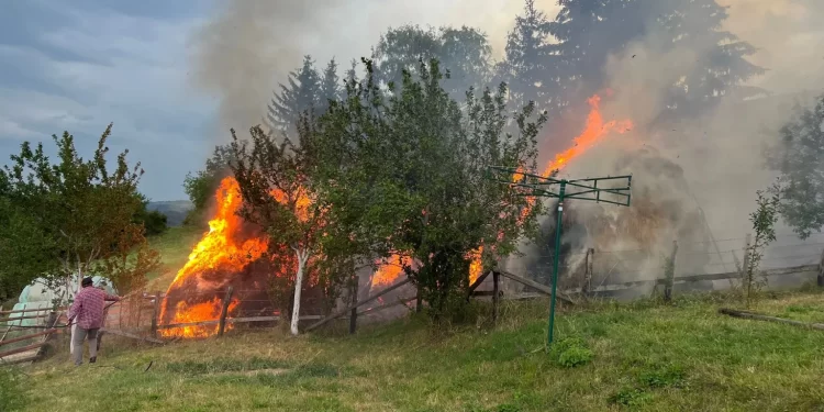 Požar na Pešteru! Vatrogasci spriječili veću katastrofu (FOTO+VIDEO)