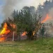 Požar na Pešteru! Vatrogasci spriječili veću katastrofu (FOTO+VIDEO)