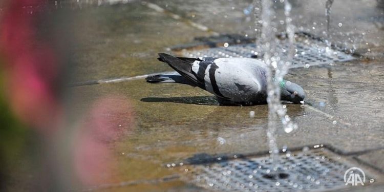 Ekstremne vrućine u BiH, Sarajlije se rashlađuju vodom sa Sebilja