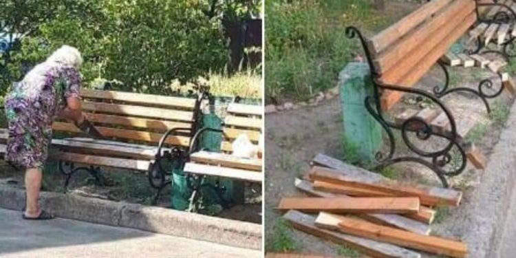 BAKA ZAPREPASTILA SVE: ISJEKLA KLUPU U PARKU, DA LI SPREMA OGRIJEV ZA ZIMU?