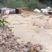 (VIDEO) Ivanjica: Nevrijeme napravilo haos u selima