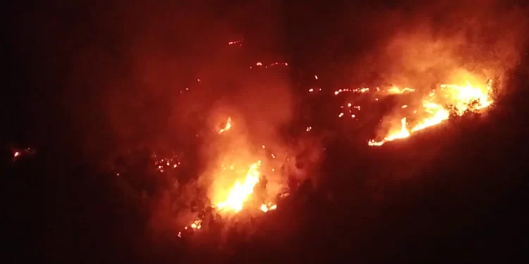 Šume kod Novog Pazara u plamenu! Lavovska borba vatrogasne jedinice